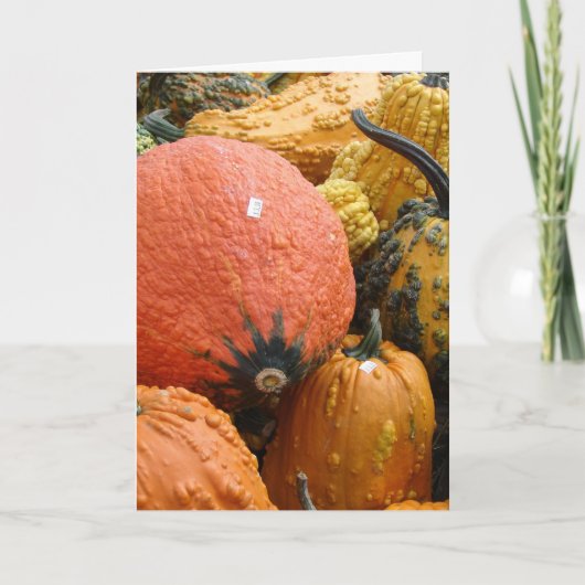 Gourds, Thanksgiving Feestdagen Kaart (Voorkant)