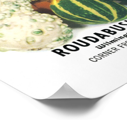 Gourds  zaaipakket poster (Hoek)