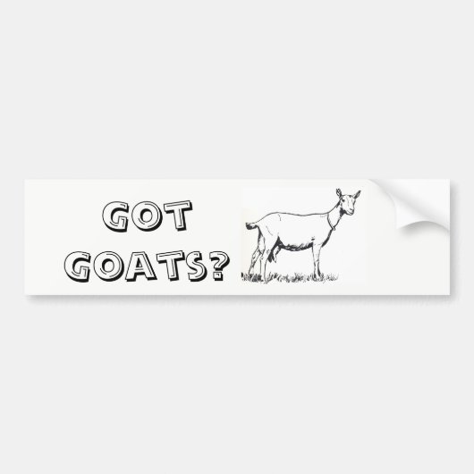 GOUT GOATS? Bumpersticker (Voorkant)