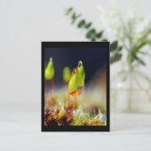 Gouttes d'Eau" Briefkaart (Staand voorkant)