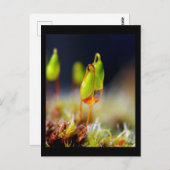 Gouttes d'Eau" Briefkaart (Voorkant / Achterkant)