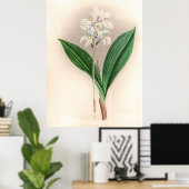 Govenia Deliciosa Orchidee Flower Poster (Thuiskantoor)