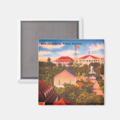 Government House, Nassau, Bahamas  Foto Magneet (Voorkant / Achterkant)