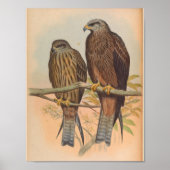 Govinda Kite Brown Bird  Art Print (Voorkant)