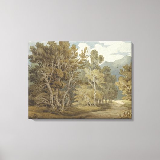 Gowbarrow Park, Ullswater (door John White Abbott) Canvas Afdruk (Voorkant)