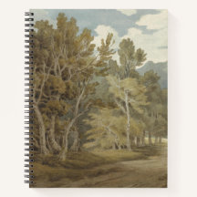 Gowbarrow Park, Ullswater (door John White Abbott)