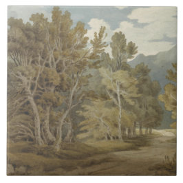 Gowbarrow Park, Ullswater (door John White Abbott) Tegeltje