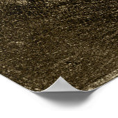 Goya - Blind Singer 1820 Poster (Hoek)