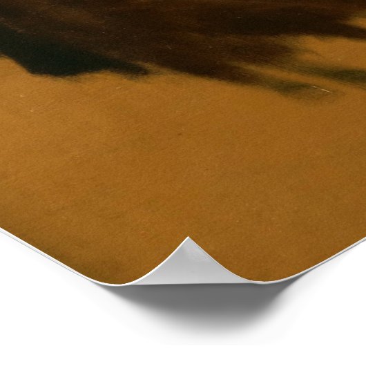 Goya - Carlos Maria Bourbon Infante 1800 Poster (Hoek)