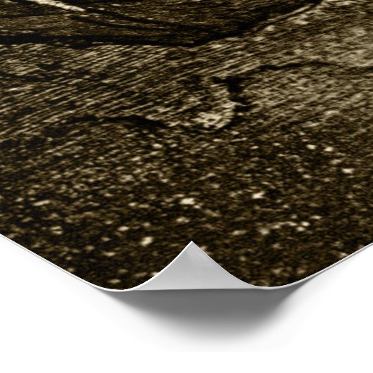 Goya - Old Swinging 1820 Poster (Hoek)