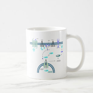 GPCR-route Koffiemok