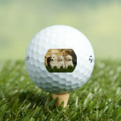 gr pup groep 2 golfballen (Insitu Shirt)