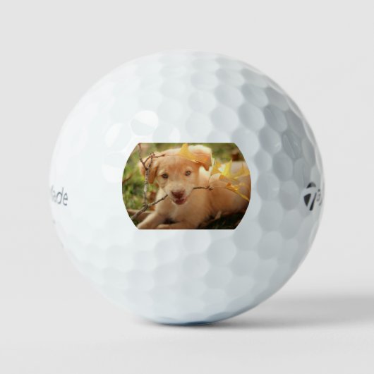 gr pup met tak golfballen (Voorkant)