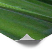 Graad met Poster van dauwdruppels (Hoek)