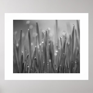 Graad met Poster van dauwdruppels