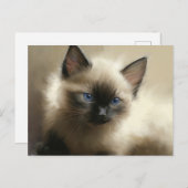 Graad van innocentie Siamese Kitten-portret Briefkaart (Voorkant / Achterkant)