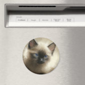 Graad van innocentie Siamese Kitten-portret Magneet (Insitu (Vaatwasser))
