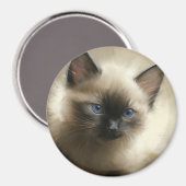 Graad van innocentie Siamese Kitten-portret Magneet (Voorkant / Achterkant)