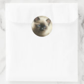 Graad van innocentie Siamese Kitten-portret Ronde Sticker (Tas)