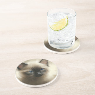 Graad van innocentie Siamese Kitten-portret Zandsteen Onderzetter