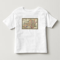 graafschap van de staten van New York