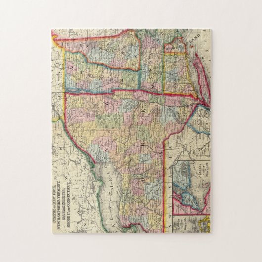 graafschap van de staten van New York Legpuzzel (Verticaal)