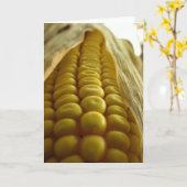Graan dichte omhooggaande Greetingcard Kaart (Gele Bloem)