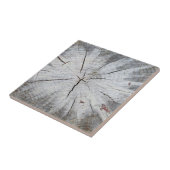 Graan Grauwe pine boom Stump Foto Art 1 Tegeltje (Zijkant)