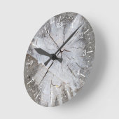 Graan Grauwe pine boom Stump Foto Art. 2 Ronde Klok (Hoek)