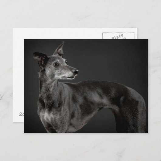 Graankwitje Briefkaart (Voorkant / Achterkant)