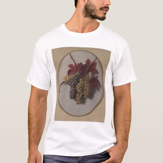 Graanspoeling (1363) t-shirt (Voorkant)