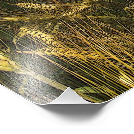 Graanveld Foto Afdruk (Hoek)