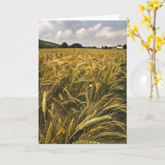 Graanveld Kaart (Gele Bloem)