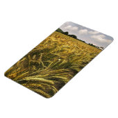 Graanveld Magneet (Linkerzijde)