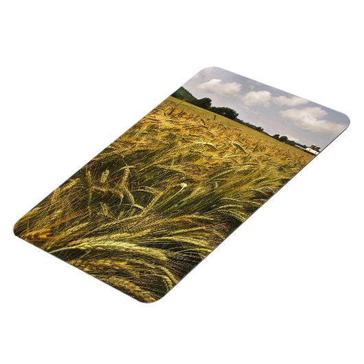 Graanveld Magneet (Linkerzijde)