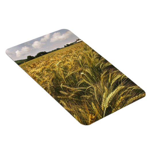 Graanveld Magneet (Rechterzijde)
