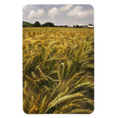 Graanveld Magneet (Verticaal)