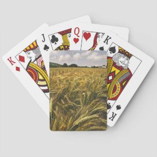 Graanveld Speelkaarten