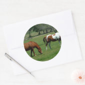Graaskastanje en pinto ronde sticker (Envelop)