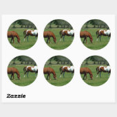 Graaskastanje en pinto ronde sticker (Vel)