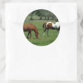 Graaskastanje en pinto ronde sticker (Tas)