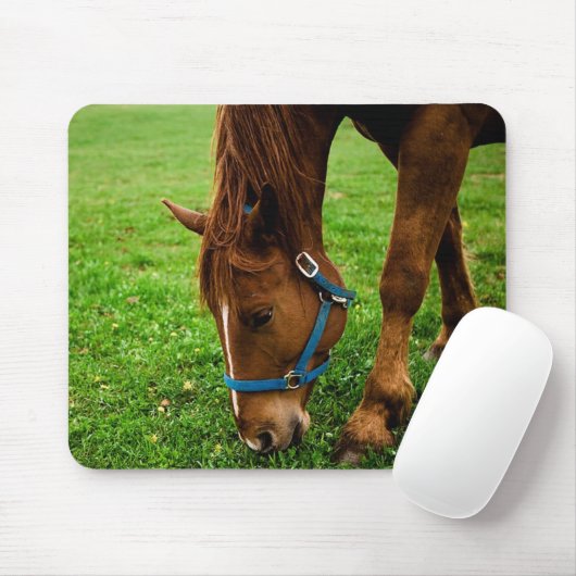 Graaskastanje met streep muismat (Met muis)