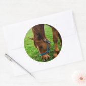 Graaskastanje met streep ronde sticker (Envelop)
