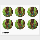 Graaskastanje met streep ronde sticker (Vel)