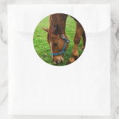 Graaskastanje met streep ronde sticker (Tas)