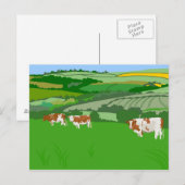 Graaskoeien Briefkaart (Voorkant / Achterkant)