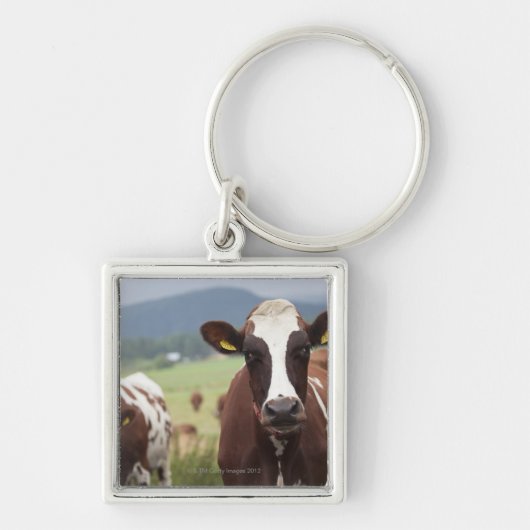 Graaskoeien Sleutelhanger (Voorkant)