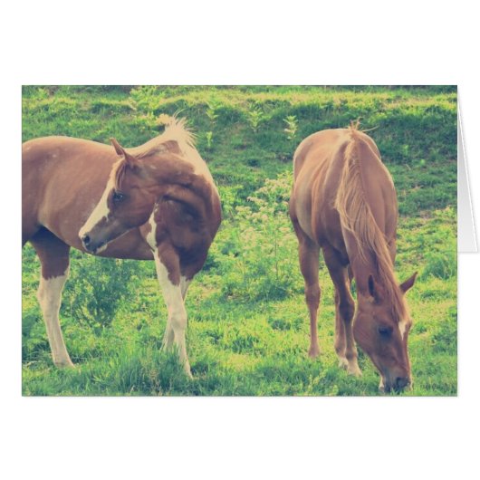 Graaspaarden (Voorkant Horizontaal)