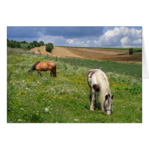 Graaspaarden