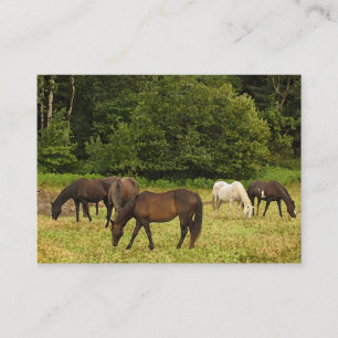 Graaspaarden ATC Visitekaartje